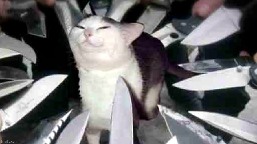 image tagged in cat with knifes pointing at it | made w/ Imgflip meme maker