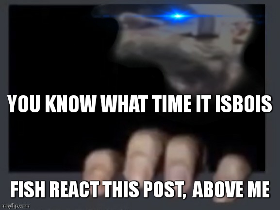 Everyone in between X react them | YOU KNOW WHAT TIME IT ISBOIS; FISH REACT THIS POST,  ABOVE ME | image tagged in everyone in between x react them | made w/ Imgflip meme maker