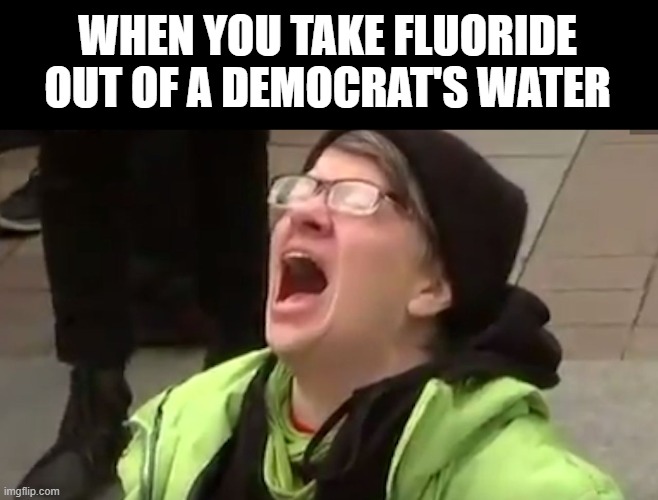 Screaming Liberal  | WHEN YOU TAKE FLUORIDE OUT OF A DEMOCRAT'S WATER | image tagged in screaming liberal | made w/ Imgflip meme maker
