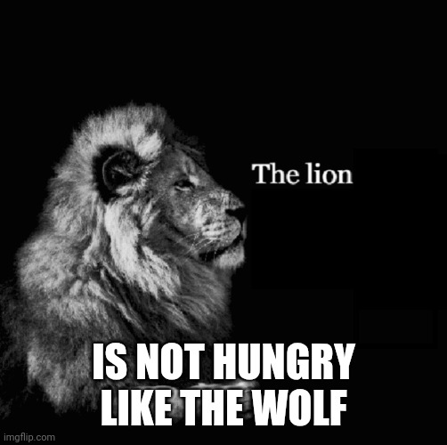 The lion tiktok template | IS NOT HUNGRY LIKE THE WOLF | image tagged in the lion tiktok template | made w/ Imgflip meme maker