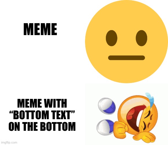 MEME; MEME WITH “BOTTOM TEXT” ON THE BOTTOM | image tagged in blank white template,neutral emoji,rofl emoji | made w/ Imgflip meme maker