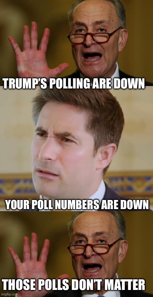 TRUMP’S POLLING ARE DOWN; YOUR POLL NUMBERS ARE DOWN; THOSE POLLS DON’T MATTER | image tagged in chuck schumer,jonathan swan meme,politics,political meme | made w/ Imgflip meme maker