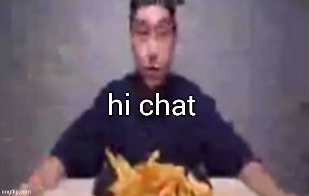 are these fries | hi chat | image tagged in are these fries | made w/ Imgflip meme maker