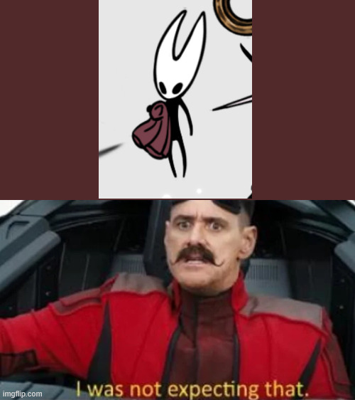 I was not expecting that | image tagged in i was not expecting that,hollow knight | made w/ Imgflip meme maker