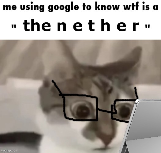 the n e t h e r | image tagged in me using google to know wtf is a x | made w/ Imgflip meme maker