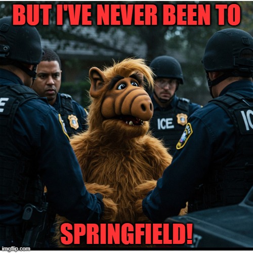 Illegal Alien | BUT I'VE NEVER BEEN TO; SPRINGFIELD! | image tagged in illegal alien | made w/ Imgflip meme maker