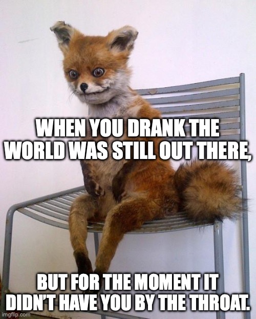 Freedom, one pour at a time | WHEN YOU DRANK THE WORLD WAS STILL OUT THERE, BUT FOR THE MOMENT IT DIDN’T HAVE YOU BY THE THROAT. | image tagged in stoned fox,bukowski,charles bukowski,drinking,freedom | made w/ Imgflip meme maker
