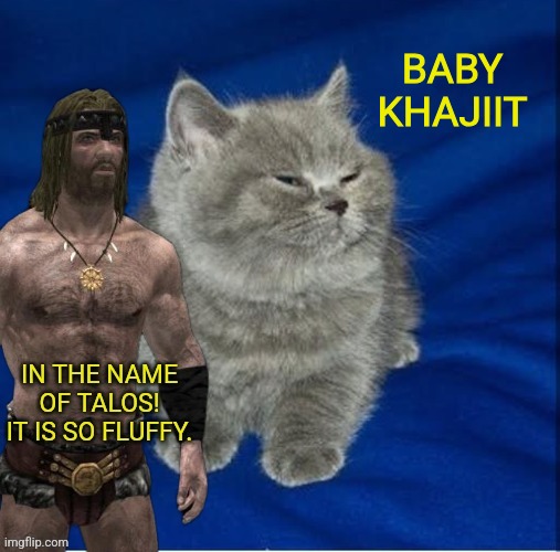 Skyrim Cuteness | BABY KHAJIIT | image tagged in skyrim,khajiit | made w/ Imgflip meme maker