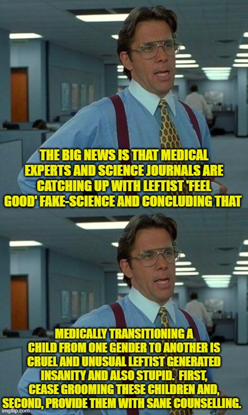 This is what happens when the adults are in charge again. | THE BIG NEWS IS THAT MEDICAL EXPERTS AND SCIENCE JOURNALS ARE CATCHING UP WITH LEFTIST 'FEEL GOOD' FAKE-SCIENCE AND CONCLUDING THAT; MEDICALLY TRANSITIONING A CHILD FROM ONE GENDER TO ANOTHER IS CRUEL AND UNUSUAL LEFTIST GENERATED INSANITY AND ALSO STUPID.  FIRST, CEASE GROOMING THESE CHILDREN AND, SECOND, PROVIDE THEM WITH SANE COUNSELLING. | image tagged in that would be great | made w/ Imgflip meme maker