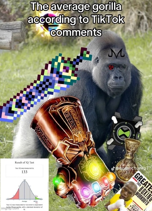 image tagged in tiktok | made w/ Imgflip meme maker