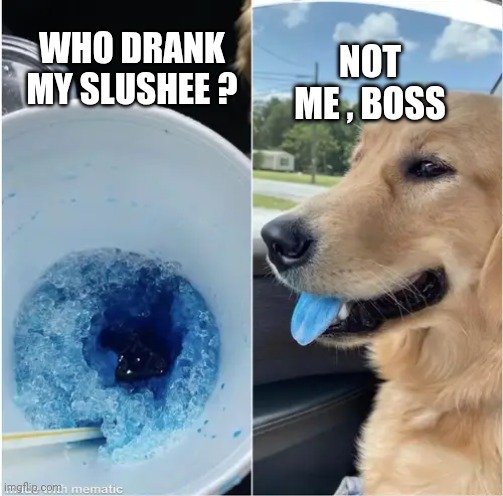 WHO DRANK MY SLUSHEE ? NOT ME , BOSS | made w/ Imgflip meme maker