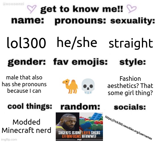 Can I get more weird outside of being slightly gendery? /rh\/rt | lol300; he/she; straight; 🐪💀; Fashion aesthetics? That some girl thing? male that also has she pronouns because I can; https://rick300.neocities.org/usernames; Modded Minecraft nerd | image tagged in get to know me but better | made w/ Imgflip meme maker