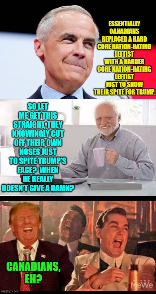 There's stupid and then there's Canadian stupid. | ESSENTIALLY CANADIANS REPLACED A HARD CORE NATION-HATING LEFTIST WITH A HARDER CORE NATION-HATING LEFTIST JUST TO SHOW THEIR SPITE FOR TRUMP. SO LET ME GET THIS STRAIGHT, THEY KNOWINGLY CUT OFF THEIR OWN NOSES JUST TO SPITE TRUMP'S FACE?  WHEN HE REALLY DOESN'T GIVE A DAMN? CANADIANS, EH? | image tagged in hide the pain harold | made w/ Imgflip meme maker