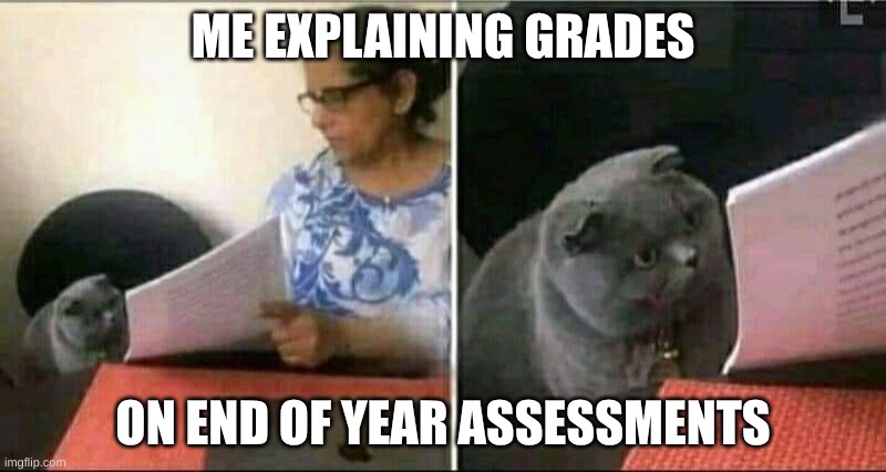 Black Cat and Teacher | ME EXPLAINING GRADES; ON END OF YEAR ASSESSMENTS | image tagged in black cat and teacher | made w/ Imgflip meme maker