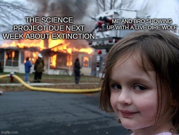 Its late 8th grade science, what do you expect lol | THE SCIENCE PROJECT DUE NEXT WEEK ABOUT EXTINCTION; ME AND BRO SHOWING UP WITH A LIVE DIRE WOLF | image tagged in memes,disaster girl | made w/ Imgflip meme maker