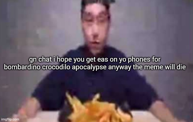 are these fries | gn chat i hope you get eas on yo phones for bombardino crocodilo apocalypse anyway the meme will die | image tagged in are these fries | made w/ Imgflip meme maker