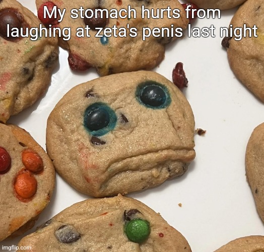 Sad cookie | My stomach hurts from laughing at zeta's penis last night | image tagged in sad cookie | made w/ Imgflip meme maker