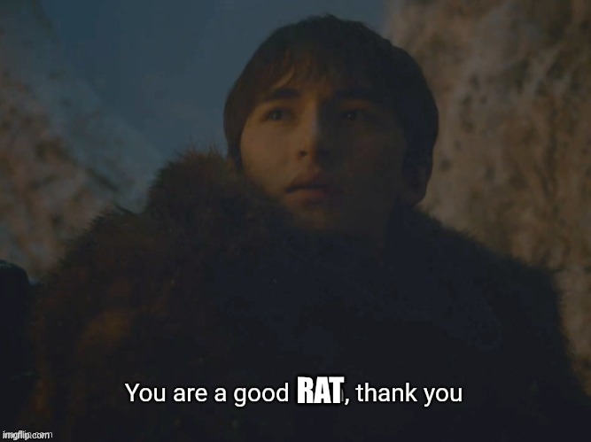 You are a good man, thank you | RAT | image tagged in you are a good man thank you | made w/ Imgflip meme maker