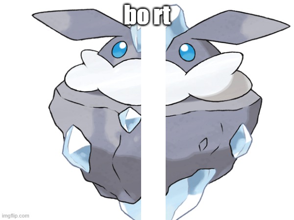 Bo rt.m p3 | bo rt | image tagged in bort | made w/ Imgflip meme maker