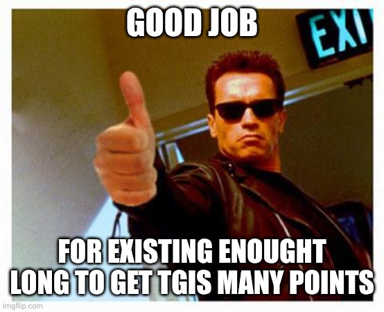 No matter how many points you got, you did good job. | GOOD JOB; FOR EXISTING ENOUGHT LONG TO GET THIS MANY POINTS | image tagged in terminator thumbs up,good job | made w/ Imgflip meme maker