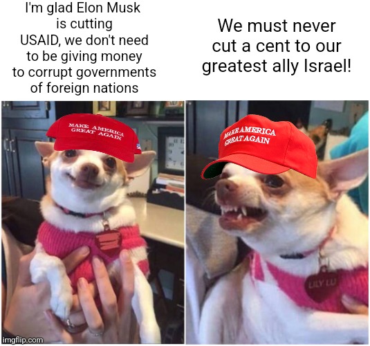 Conservatives are all for giving money to the corrupt government of a foreign nation | I'm glad Elon Musk 
is cutting USAID, we don't need to be giving money to corrupt governments of foreign nations; We must never cut a cent to our greatest ally Israel! | image tagged in happy chihuahua angry chihuahua,conservative hypocrisy,maga,israel,government corruption | made w/ Imgflip meme maker