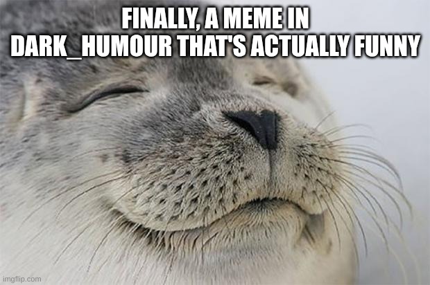 Satisfied Seal Meme | FINALLY, A MEME IN DARK_HUMOUR THAT'S ACTUALLY FUNNY | image tagged in memes,satisfied seal | made w/ Imgflip meme maker