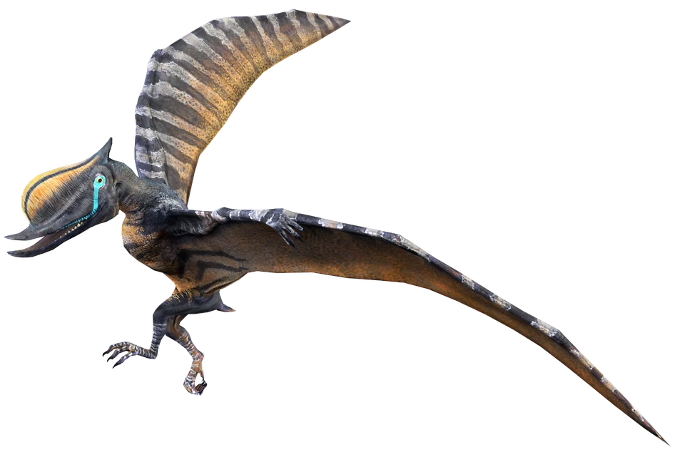 Dsungaripterus (JWA Design) Blank Meme Template