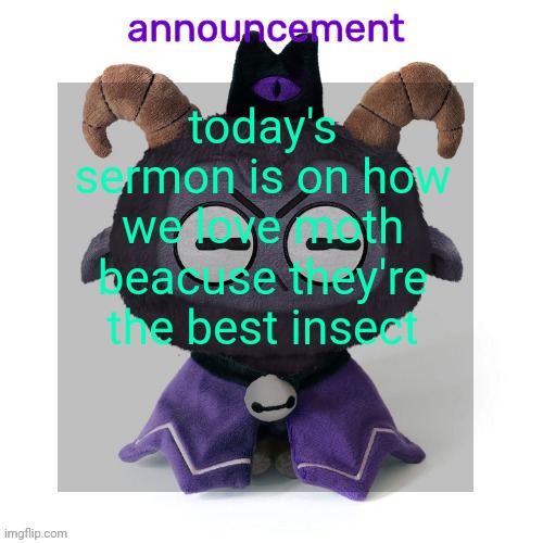 ermmmm ummmm idkkkk | today's sermon is on how we love moth beacuse they're the best insect | image tagged in ermmmm ummmm idkkkk | made w/ Imgflip meme maker