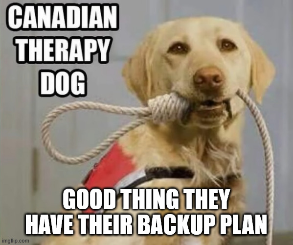 GOOD THING THEY HAVE THEIR BACKUP PLAN | made w/ Imgflip meme maker