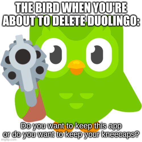 Spanish or Vanish | THE BIRD WHEN YOU'RE ABOUT TO DELETE DUOLINGO:; Do you want to keep this app or do you want to keep your kneecaps? | image tagged in spanish or vanish | made w/ Imgflip meme maker
