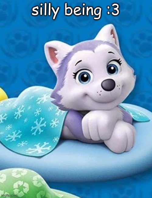 :3 | silly being :3 | image tagged in everest in bed 3,silly being | made w/ Imgflip meme maker