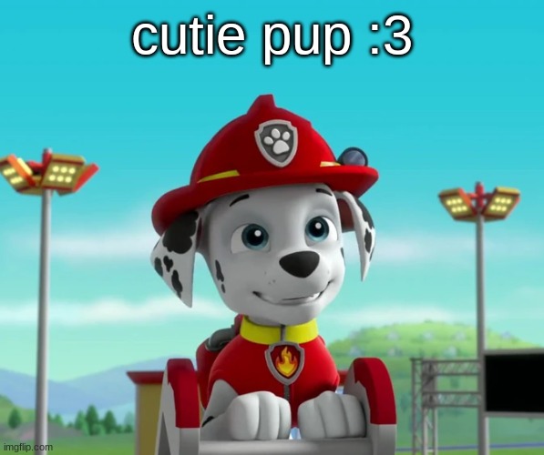 :D | cutie pup :3 | image tagged in marshall d,cutie | made w/ Imgflip meme maker