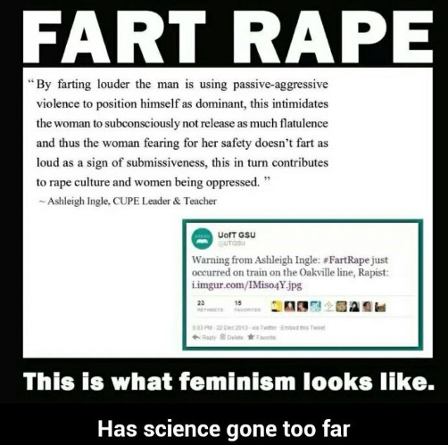 Fart Rape | image tagged in feminazi,libtards,fart,ridiculous,feminism is cancer,liberal logic | made w/ Imgflip meme maker