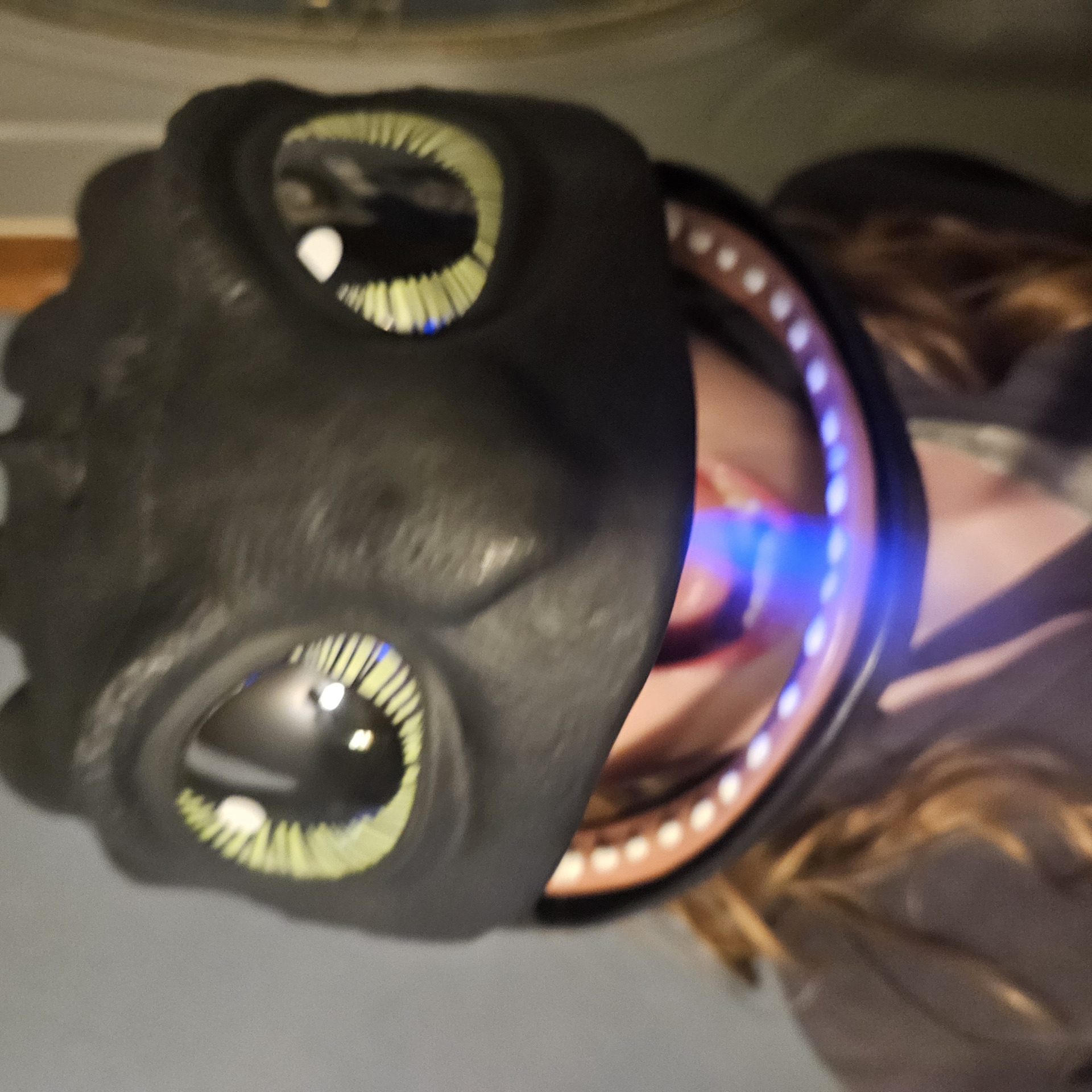 Toothless (real) Blank Meme Template