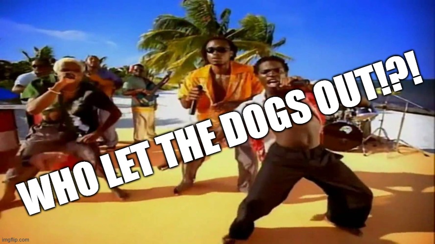 Who let the dogs out  | WHO LET THE DOGS OUT!?! | image tagged in who let the dogs out | made w/ Imgflip meme maker