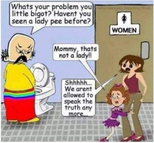 Immorality & Insanity | image tagged in tranny,transgender bathroom,comics,liberal logic,morality,insanity | made w/ Imgflip meme maker