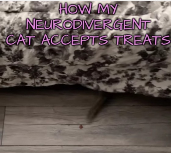 I Understand You, Buddy | image tagged in neurodivergent,shy,introvert | made w/ Imgflip meme maker