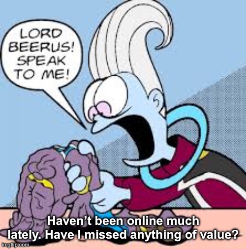 Garfield Beerus | Haven’t been online much lately. Have I missed anything of value? | image tagged in garfield beerus | made w/ Imgflip meme maker