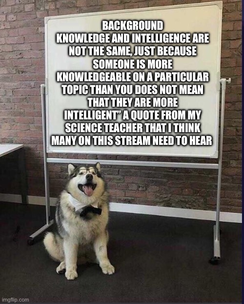 Next time you see an opposing opinion, think critically before you accept it or discard it because that is true intelligence | BACKGROUND KNOWLEDGE AND INTELLIGENCE ARE NOT THE SAME, JUST BECAUSE SOMEONE IS MORE KNOWLEDGEABLE ON A PARTICULAR TOPIC THAN YOU DOES NOT MEAN THAT THEY ARE MORE INTELLIGENT” A QUOTE FROM MY SCIENCE TEACHER THAT I THINK MANY ON THIS STREAM NEED TO HEAR | image tagged in whiteboard husky,politics,science | made w/ Imgflip meme maker