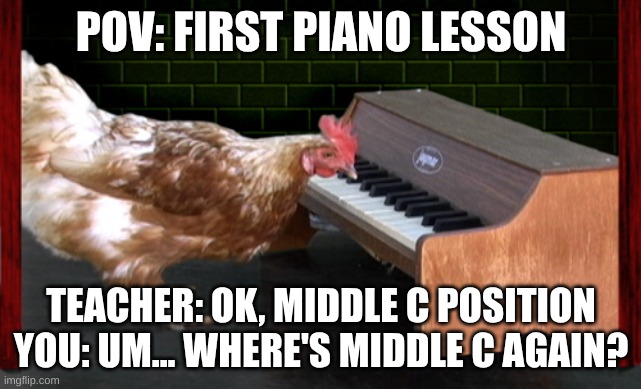 piano lessons | POV: FIRST PIANO LESSON; TEACHER: OK, MIDDLE C POSITION
YOU: UM... WHERE'S MIDDLE C AGAIN? | image tagged in piano playing chicken | made w/ Imgflip meme maker