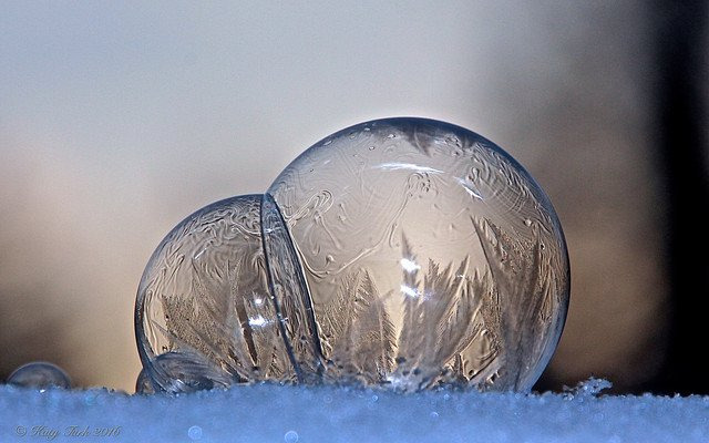When you blow bubbles onto snow in subzero temperatures | image tagged in freezing cold,winter,bubbles,snow,amazing,beautiful | made w/ Imgflip meme maker