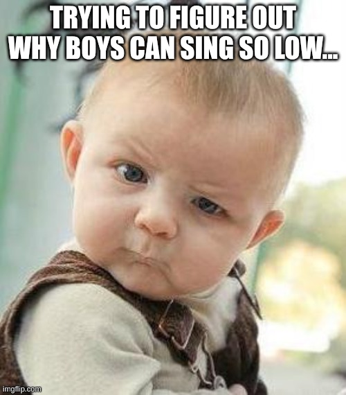 Say what? | TRYING TO FIGURE OUT WHY BOYS CAN SING SO LOW... | image tagged in say what | made w/ Imgflip meme maker