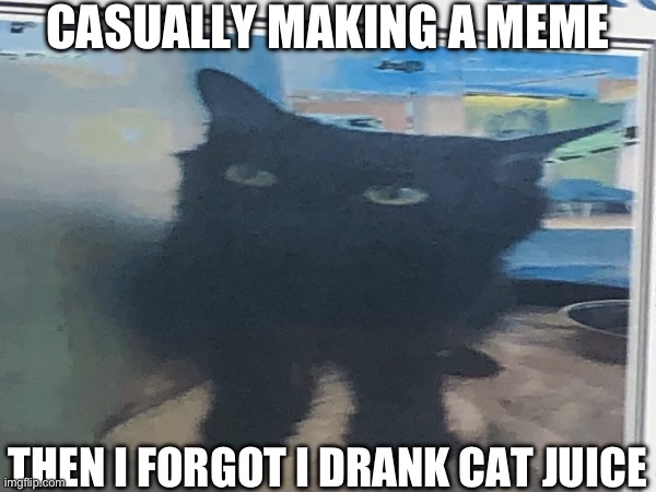 yeah | CASUALLY MAKING A MEME; THEN I FORGOT I DRANK CAT JUICE | image tagged in cat,juice,squirrel | made w/ Imgflip meme maker