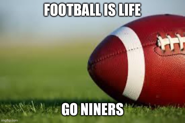 football field | FOOTBALL IS LIFE GO NINERS | image tagged in football field | made w/ Imgflip meme maker