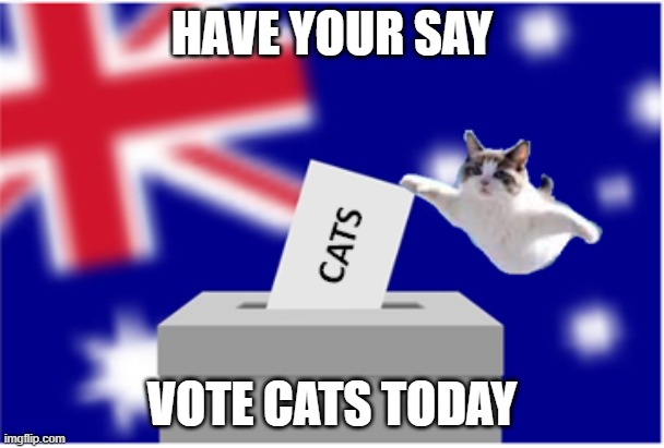 cats reminder | HAVE YOUR SAY; VOTE CATS TODAY | image tagged in cats reminder,cats voting,vote,election,timesheet reminder | made w/ Imgflip meme maker