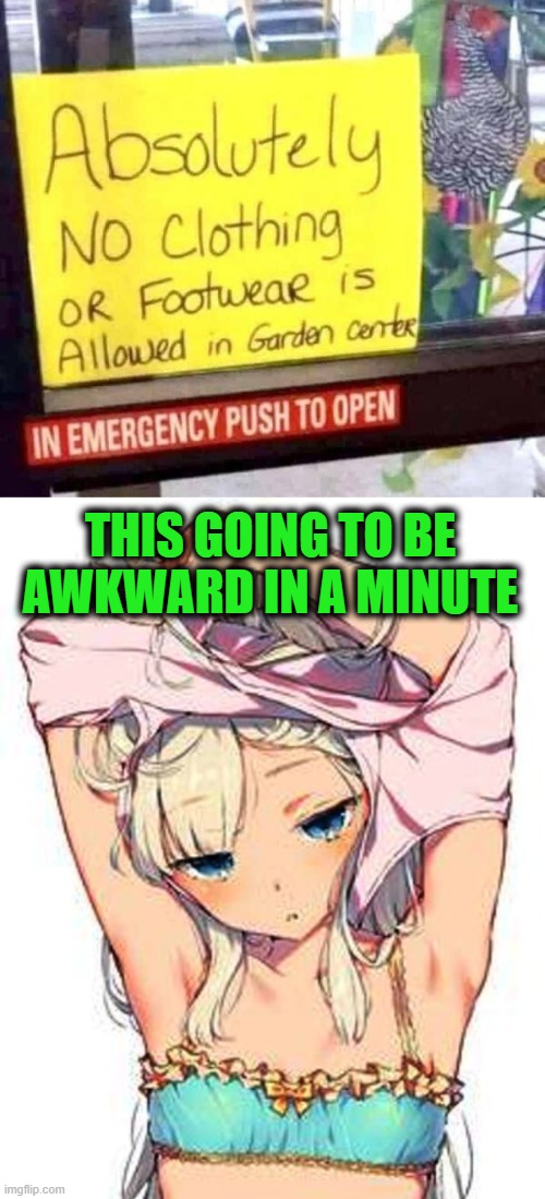 THIS GOING TO BE AWKWARD IN A MINUTE | image tagged in anime girl undressing | made w/ Imgflip meme maker