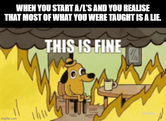 Well... | WHEN YOU START A/L'S AND YOU REALISE THAT MOST OF WHAT YOU WERE TAUGHT IS A LIE. | image tagged in this is fine | made w/ Imgflip meme maker