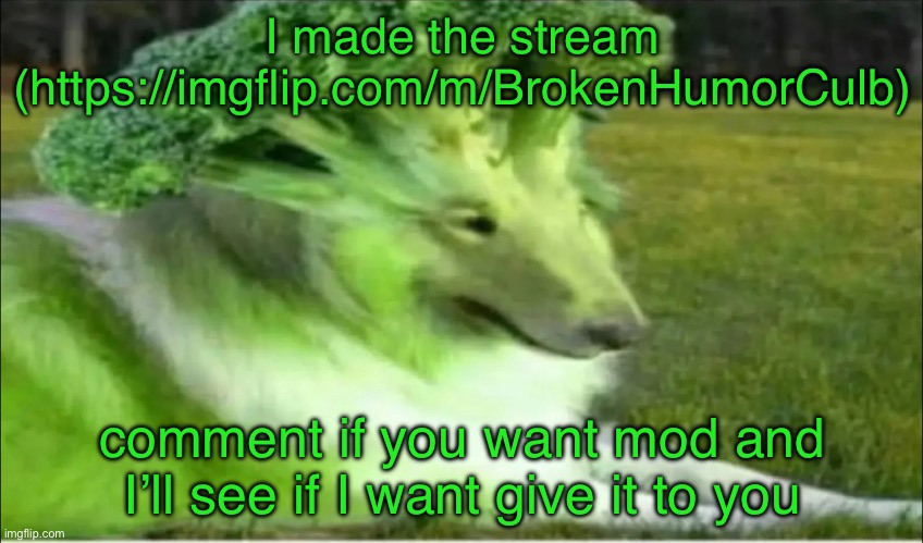 https://imgflip.com/m/BrokenHumorCulb | I made the stream (https://imgflip.com/m/BrokenHumorCulb); comment if you want mod and I’ll see if I want give it to you | image tagged in broco dogo | made w/ Imgflip meme maker