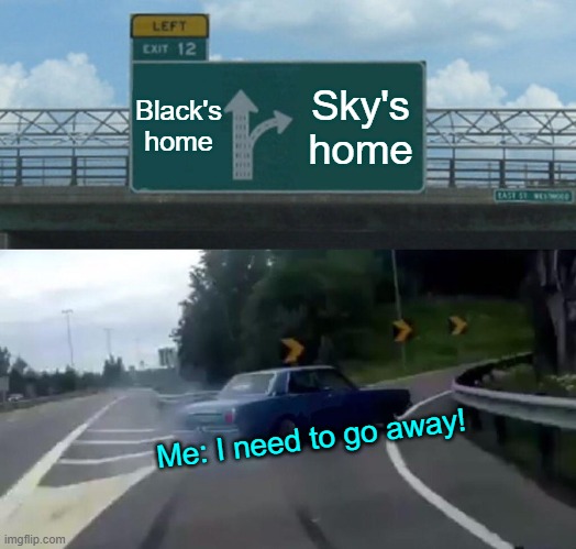 Me riding on car | Black's
home; Sky's
home; Me: I need to go away! | image tagged in memes,left exit 12 off ramp | made w/ Imgflip meme maker