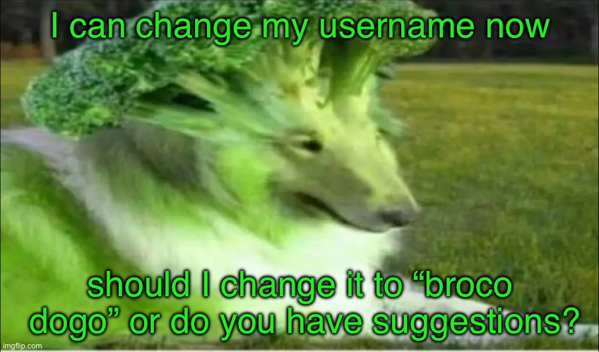 Broco dogo | I can change my username now; should I change it to “broco  dogo” or do you have suggestions? | image tagged in broco dogo | made w/ Imgflip meme maker